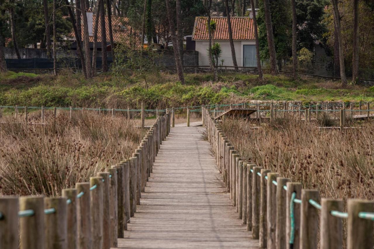 Bungalow B2 - Nature, Beach & River オフィール エクステリア 写真